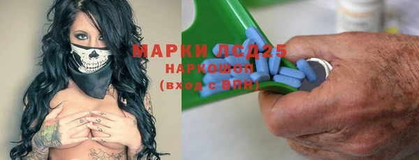 крисы Зерноград