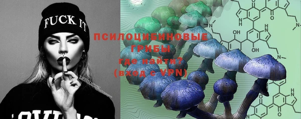 крисы Зерноград