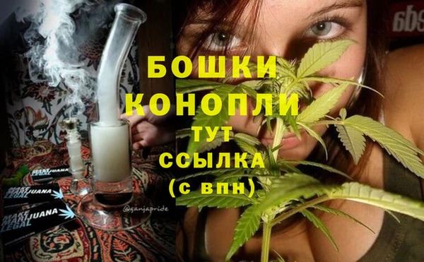 крисы Зерноград