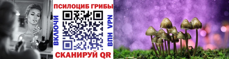 omg ссылка  Светогорск  Галлюциногенные грибы GOLDEN TEACHER 