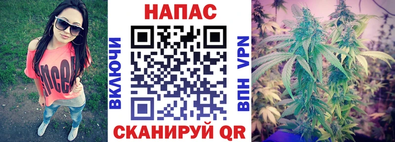 Бошки марихуана VHQ  площадка Telegram  Светогорск 